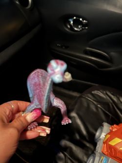 Dinosaur