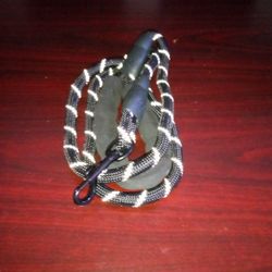 Dog Leashes 