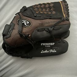 Rawlings 12’’ Pm2009bp Glove