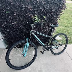 bike