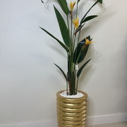 Vendo Planta Decorativa New 