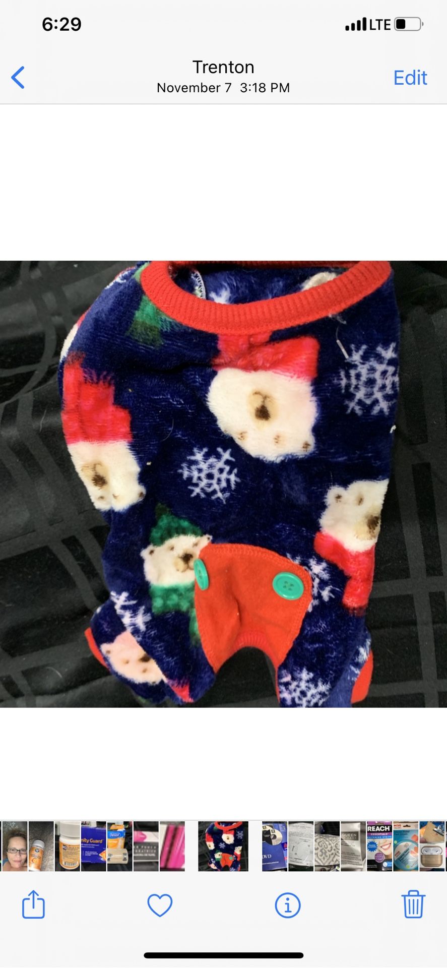 Small Dog Outfits 