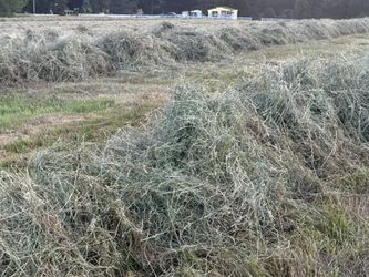 Local Grass Hay
