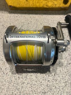 Penn International 70Vis 2-speed