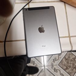 Ipad Mini 2