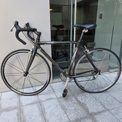 All-Carbon Trek 5200 Road Bike 