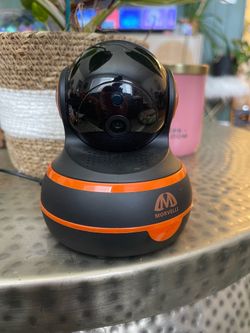 Doggy Camera