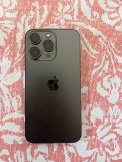 13 Pro - 256 gb - Carrier Unlocked