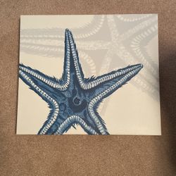 Starfish Canvas Wall Art
