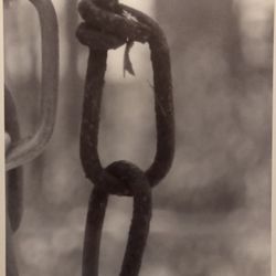 PHOTOGRAPHY ART 2007