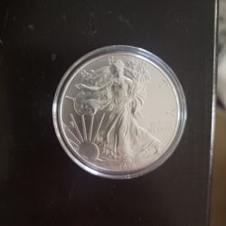 Liberty Silver Dollar 
