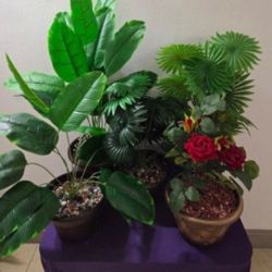 Artificial Potted Plants Sealed in Polished Stone ($20 EACH) @ Lasting Creations