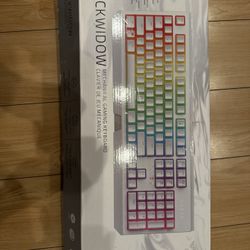 Razer Blackwidow Mercury Keyboard