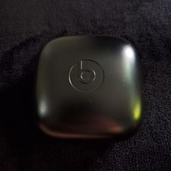 Powerbeats Pro, Case 