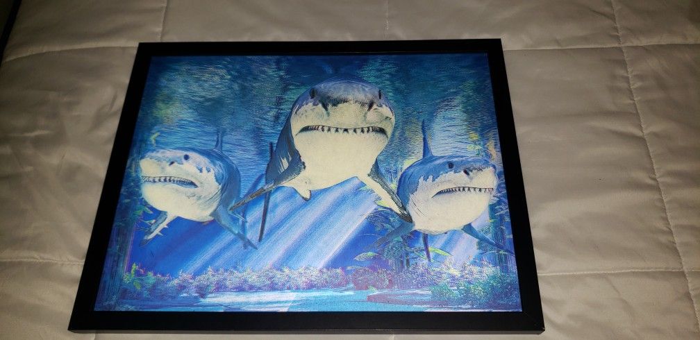 3D Great White Shark Picture