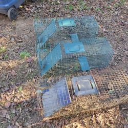 3 Large Live Traps