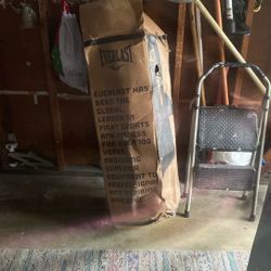Everlast Punching Bag