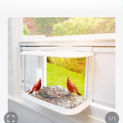 Bird Feeder 