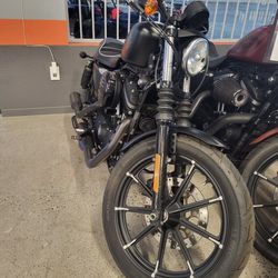 2020 Harley Davidson Xl883 Iron