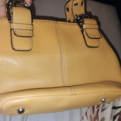 Tignanello Italian Brand Purse 25