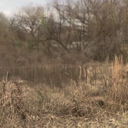 LAND FOR SELL SPENCER AREA