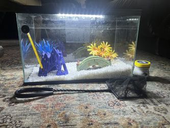 Fish Tank
