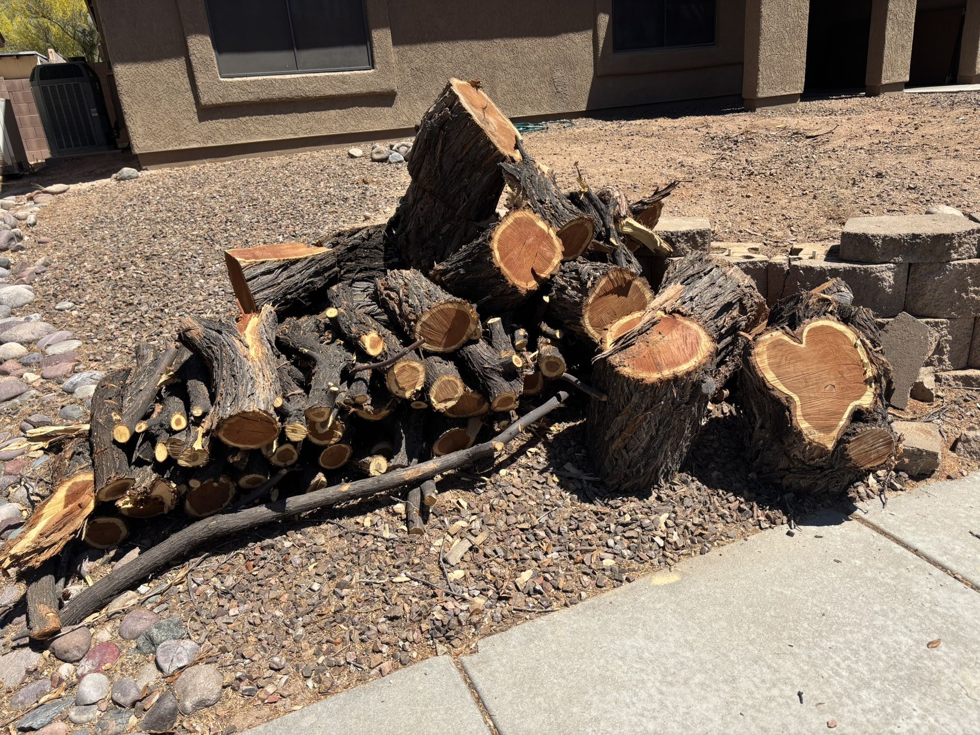 Mesquite