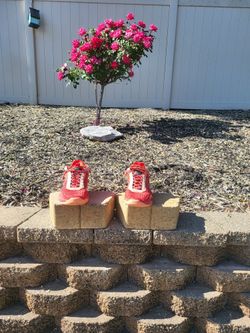 Cosmic Unity 1s. Red. Size 9.5