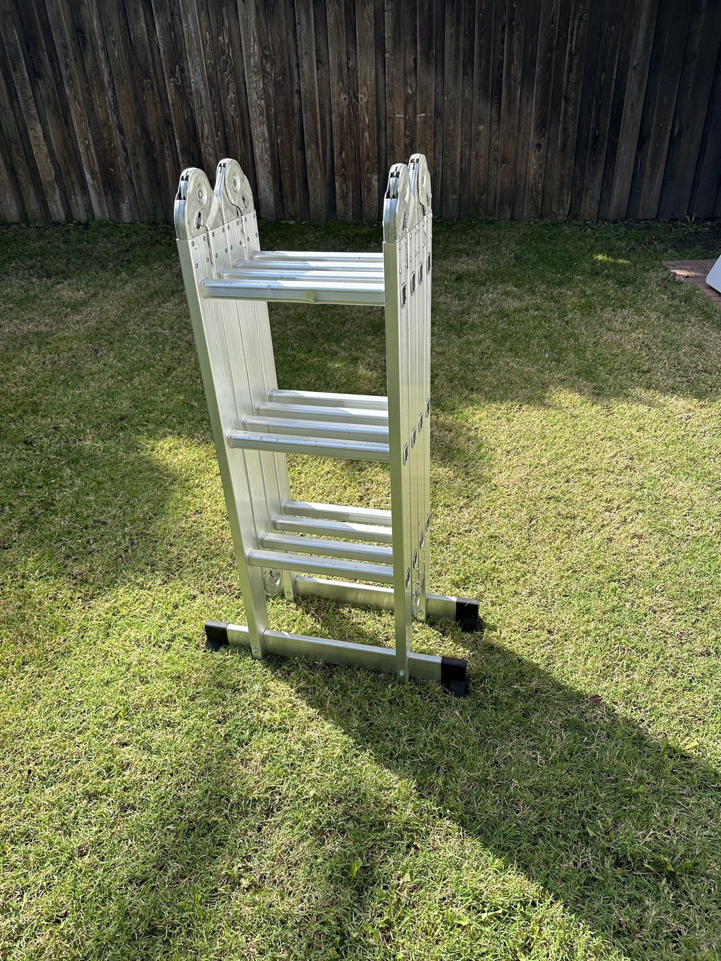 Folding Ladder