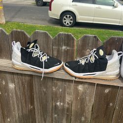LeBron James 18 Size 11