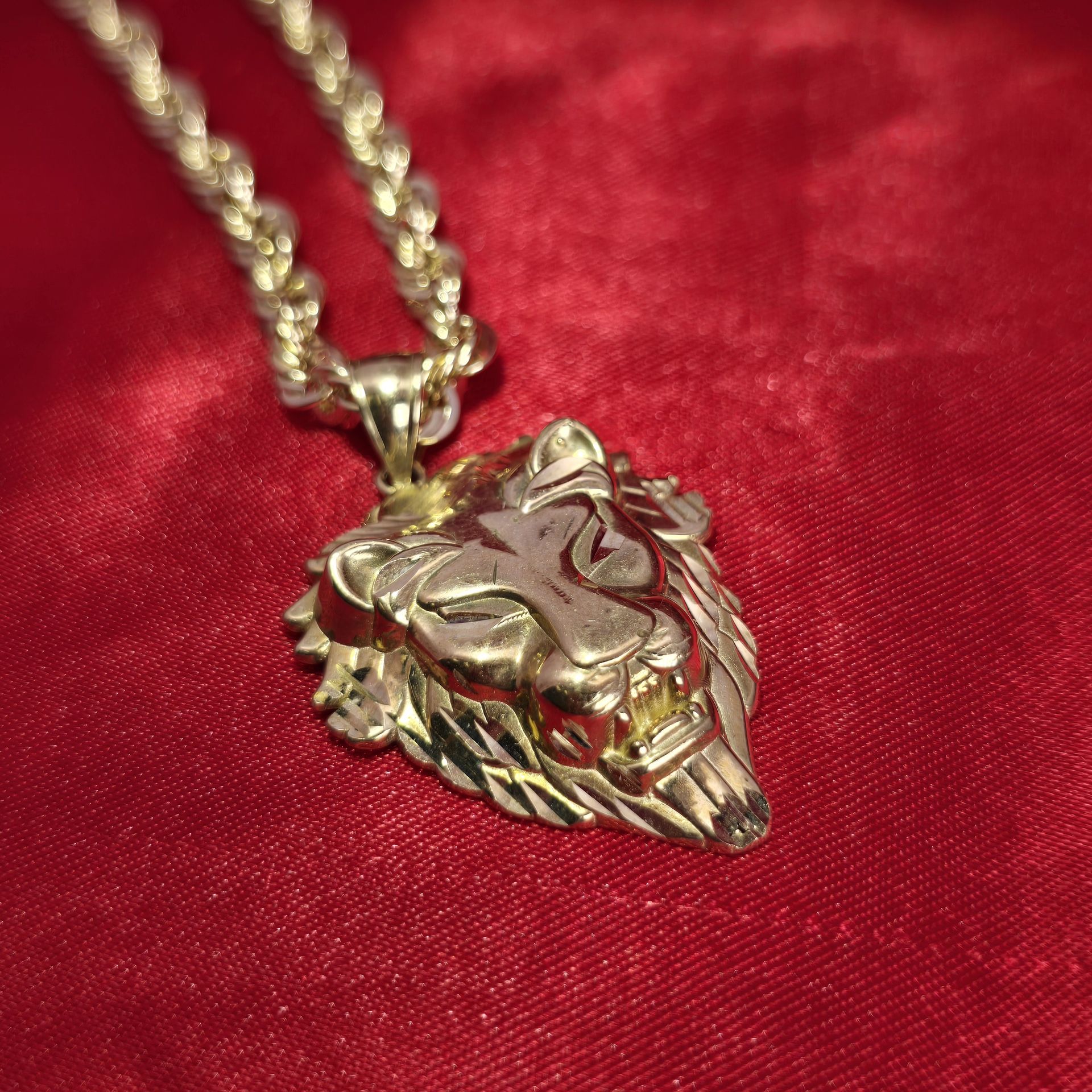 10k Gold Rope Chain & Lion Head Pendant