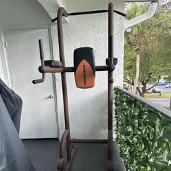 Weider Power Tower