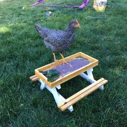 Pet-nic Table Pet Feeder