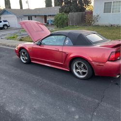 2000 Ford Mustang