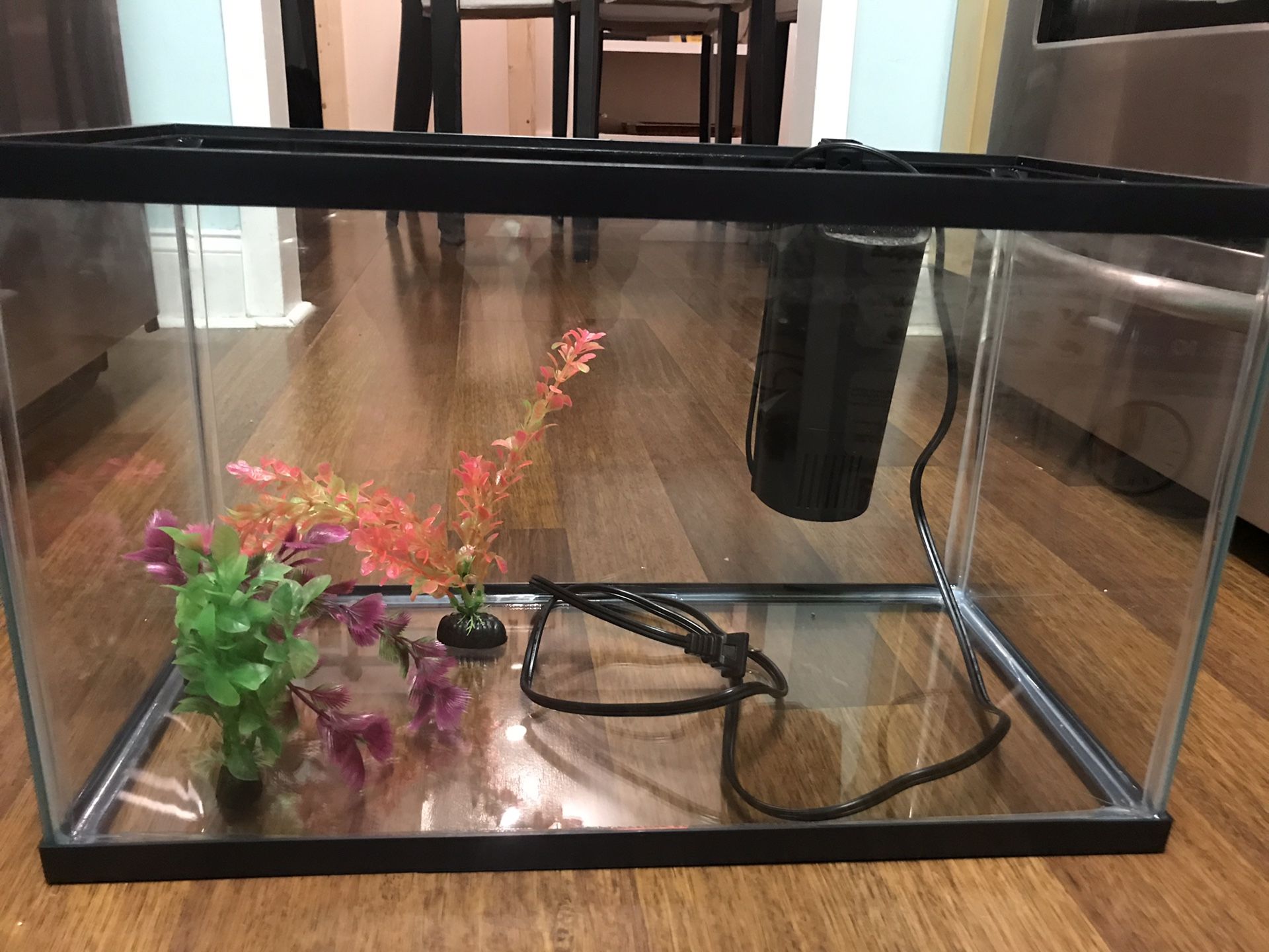 10 gallon aquarium + all accessories