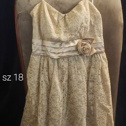 Size 18 Dress