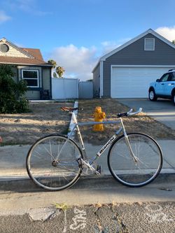 Bianchi Pista Chrome Size 55cm