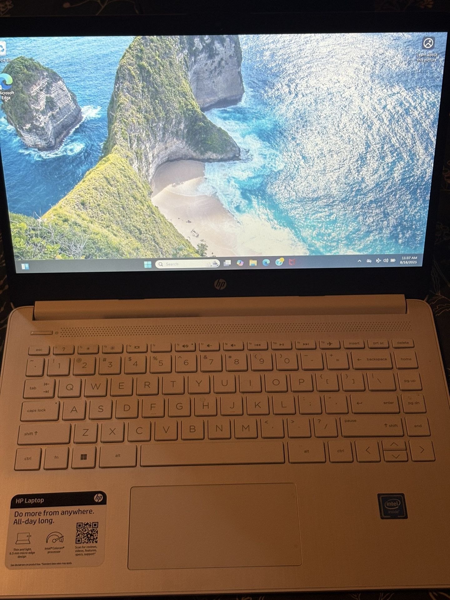 14 Inch Hp Laptop