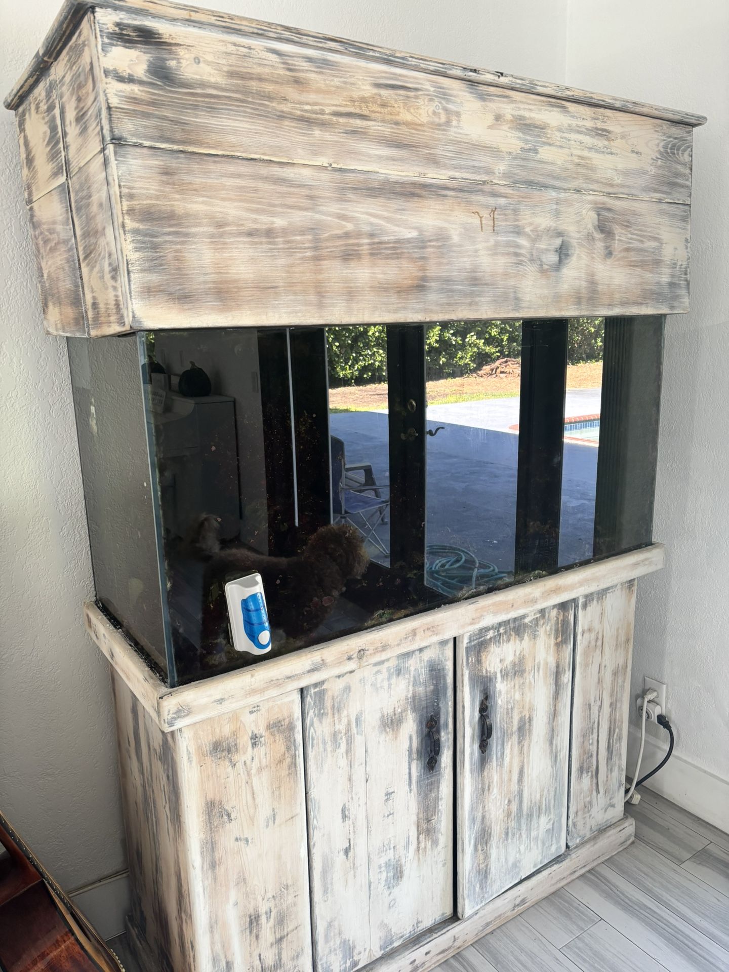 Fish Tank