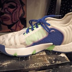 Adidas New Running Shoes 