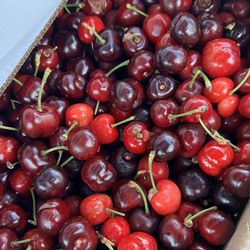 Cherry Sweet  $26 18-20 Lb 