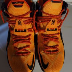 Nike LeBron  12