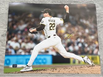 Mason Miller Autographed Signed San Diego Padres 16x20 Photo LGC Prova COA