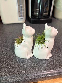 2 ceramic cat w/ air plant