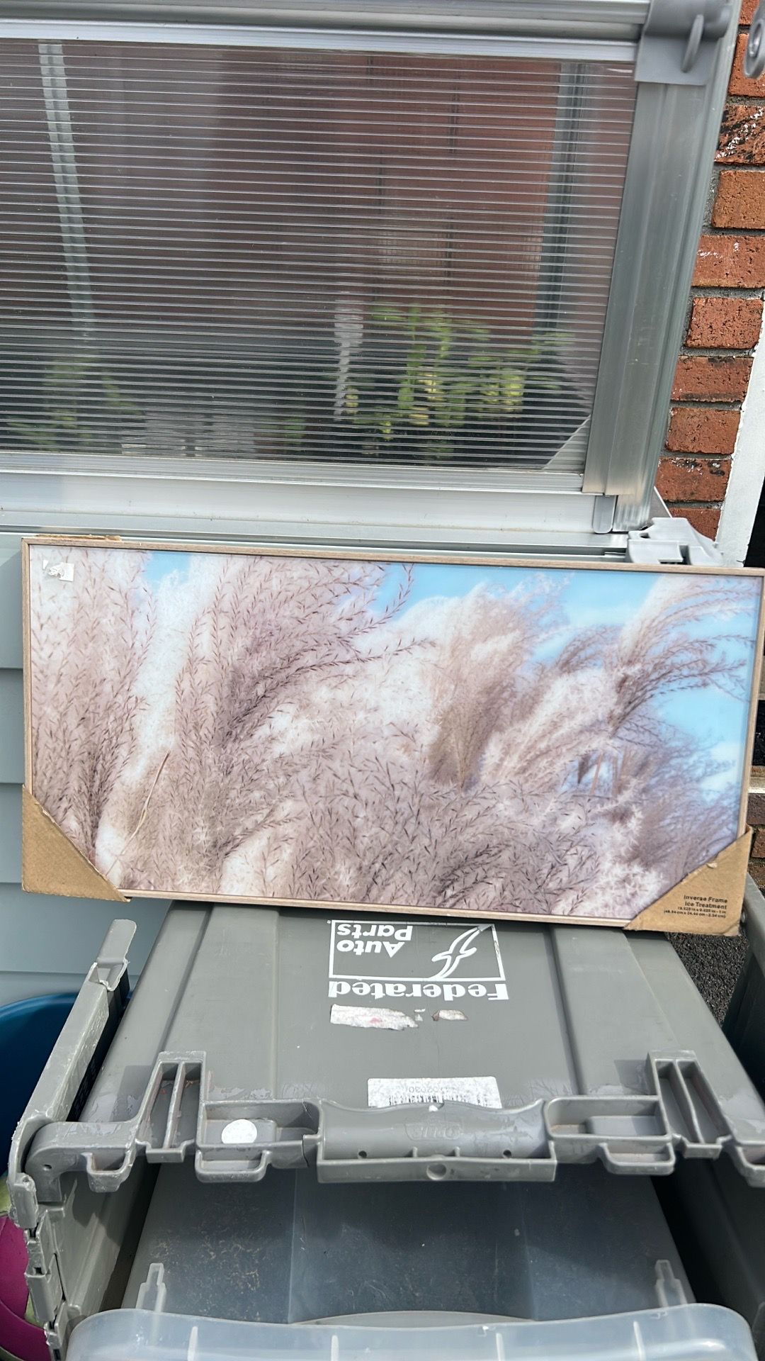 Art frame
