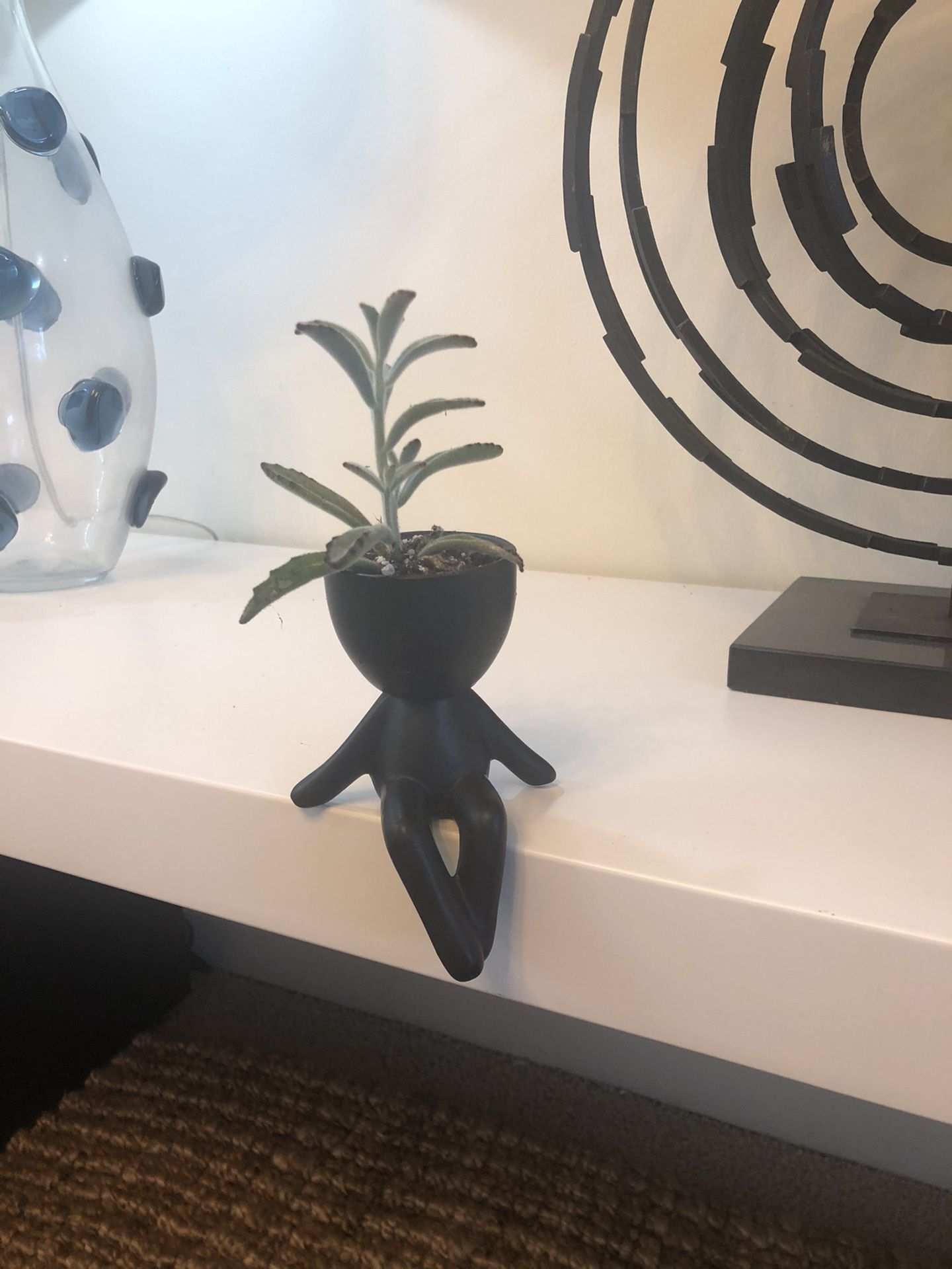 Ceramic Succulent Planter “Pot Head”