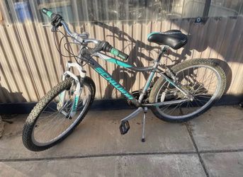 26” Schwinn bike
