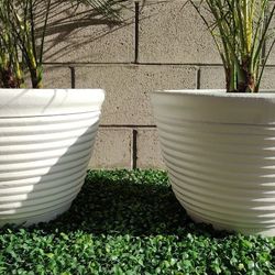 Terracotta Medium Size Planters Free Delivery In SD 