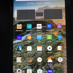 Amazon Fire HD 10 (7th generation) Kindle Kindle Fire HD 10 Amazon Kindle LIKE NEW - Will Be Wiped Out  ( Case For Sale Separately)