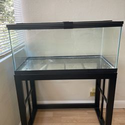 40 Gallon Tank With Stand 